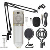 Net microphone set w stand