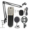 Net microphone set w stand