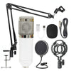 Net microphone set w stand