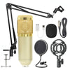 Net microphone set w stand