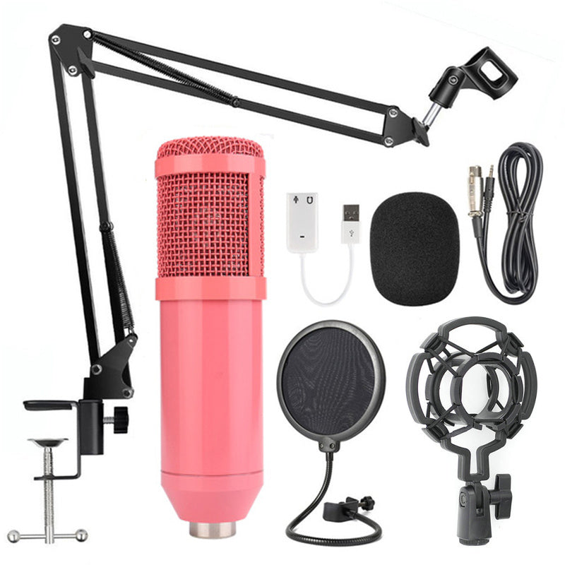 Net microphone set w stand