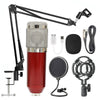 Net microphone set w stand