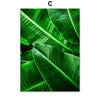 Home Decor Green Plant Canvas Painting