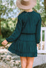 Frill Tie Neck Balloon Sleeve Dress