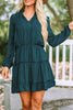 Frill Tie Neck Balloon Sleeve Dress